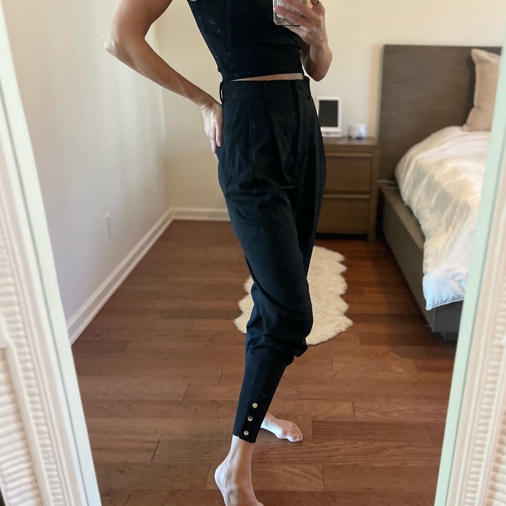 Stunning Altuzarra Dress Pants